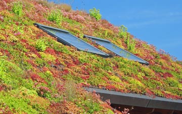 Higher Marsh living roof systems
